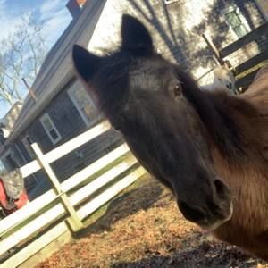 Meet your Posher, Gianna